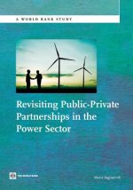 Revisiting Public-Private Partnerships in the Power Sector