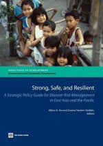 Strong, Safe, and Resilient