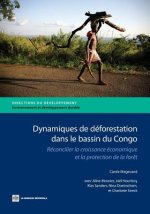 Dynamiques de deforestation dans le basin du Congo