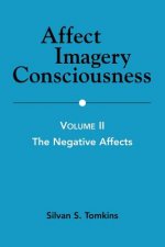 Affect Imagery Consciousness, Volume II