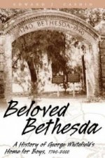 Beloved Bethesda