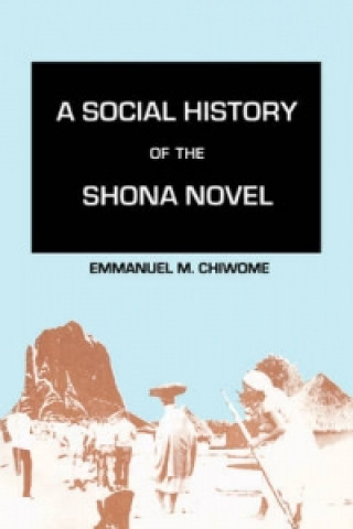 Social History of the Shona Novel