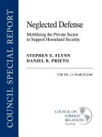 Neglected Defense