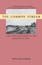 Common Stream