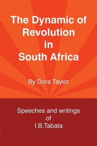 Dynamic of Revolution in South Africa