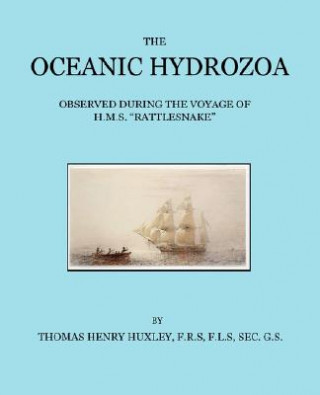 Oceanic Hydrozoa