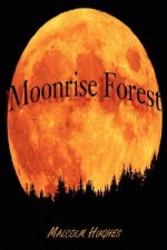 Moonrise Forest