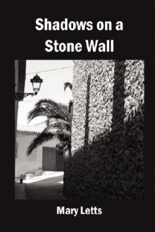 Shadows on a Stone Wall