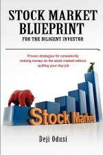 Stock Market Blueprint for the Diligent Investor