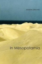 In Mesopotamia