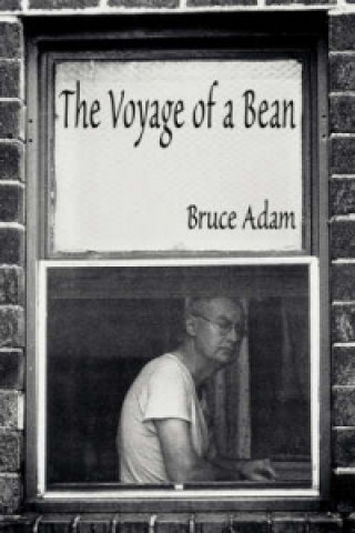 Voyage of a Bean
