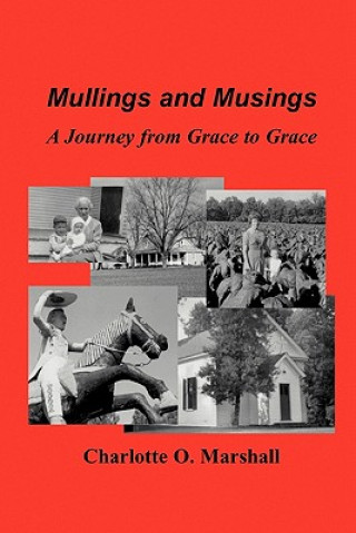 Mullings and Musings