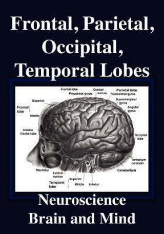 Frontal Lobes, Parietal Lobes, Occipital Lobes, Temporal Lobes, Neuroscience, Brain and Mind