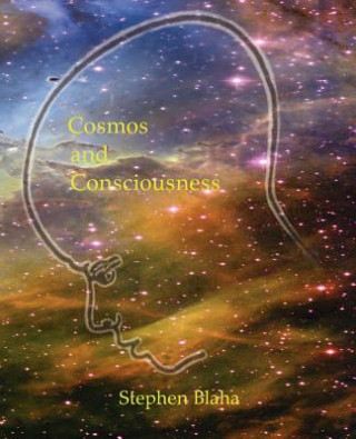 Cosmos and Consciousness