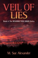 Veil Of Lies