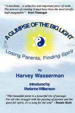 Glimpse of the Big Light