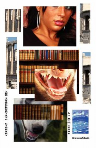 Inappropriate Library