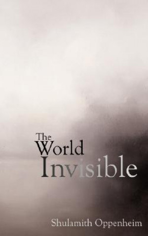 World Invisible