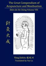 Great Compendium of Acupuncture and Moxibustion Volume VIII