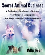 Secret Animal Business