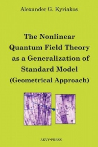 Nonlinear Quantum Field Theory as a Generalization of Standard Model (Geometrical Approach)