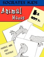 Animal Mazes (Socrates Kids Workbook Series)