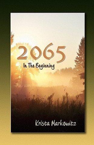 2065 in the Beginning