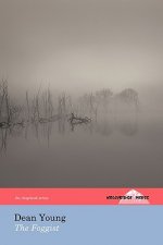 Foggist (The Hollyridge Press Chapbook Series)