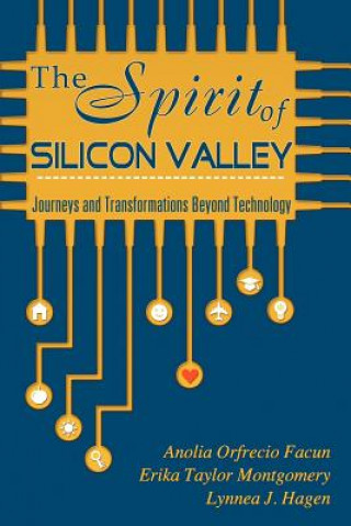 Spirit of Silicon Valley