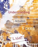 Understanding Between Foxes and Light