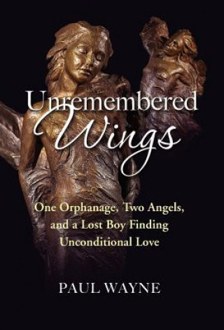 Unremembered Wings