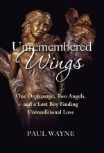 Unremembered Wings