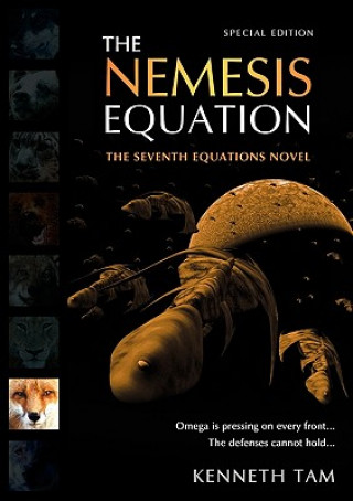 Nemesis Equation