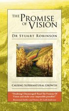Promise Of Vision