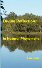 Divine Reflections in Natural Phenomena