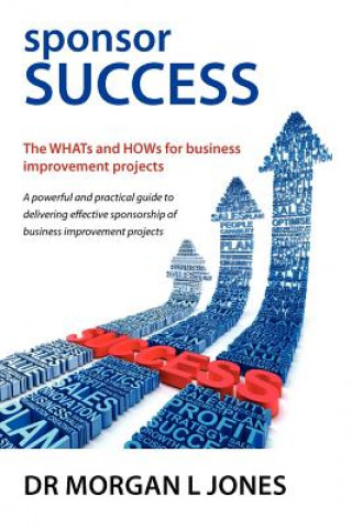 Sponsor Success - The WHATs and HOWs for Business Improvement Projects