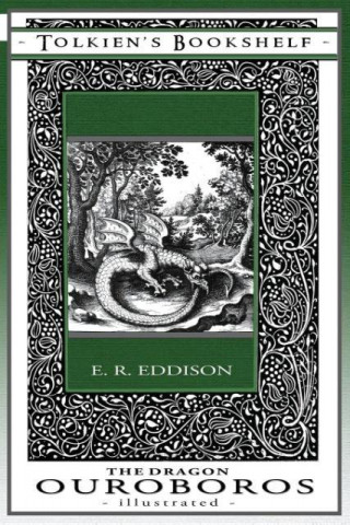 Dragon Ouroboros - Illustrated