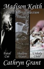 Madison Keith Ghost Story Collection- Volume 1 (Suburban Noir Ghost Stories)