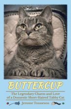 Buttercup - The Legendary Charm and Love of a Domestic Short-Haired Tabby Cat