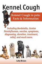 Kennel Cough. Including symptoms, diagnosing, duration, treatment, relief, Bordetella, Canine Parainfluenza, vaccine, and much more. Kennel Cough in p
