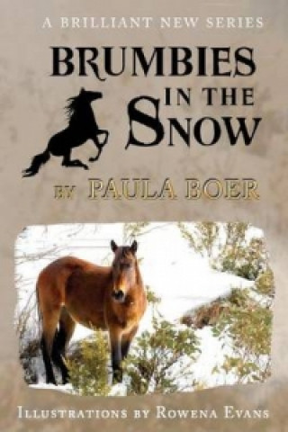 Brumbies in the Snow