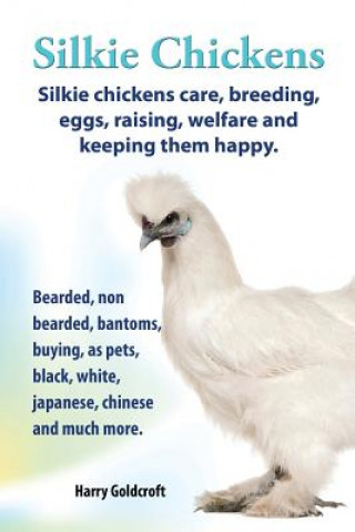 Silkie Chickens Care, Breeding, Eggs, Raising, Welfare and Keeping Them Happy