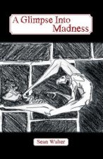 Glimpse Into Madness
