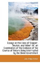 Essays on the Lives of Cowper, Newton, and Heber