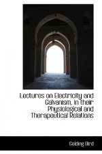 Lectures on Electricity and Galvanism, in Their Physiological and Therapeutical Relations