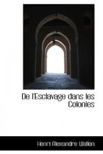 de L'Esclavage Dans Les Colonies