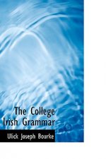 College Irish Grammar