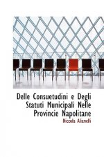 Delle Consuetudini E Degli Statuti Municipali Nelle Provincie Napolitane