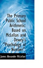 Primary Public School Arithmetic