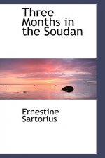 Three Months in the Soudan